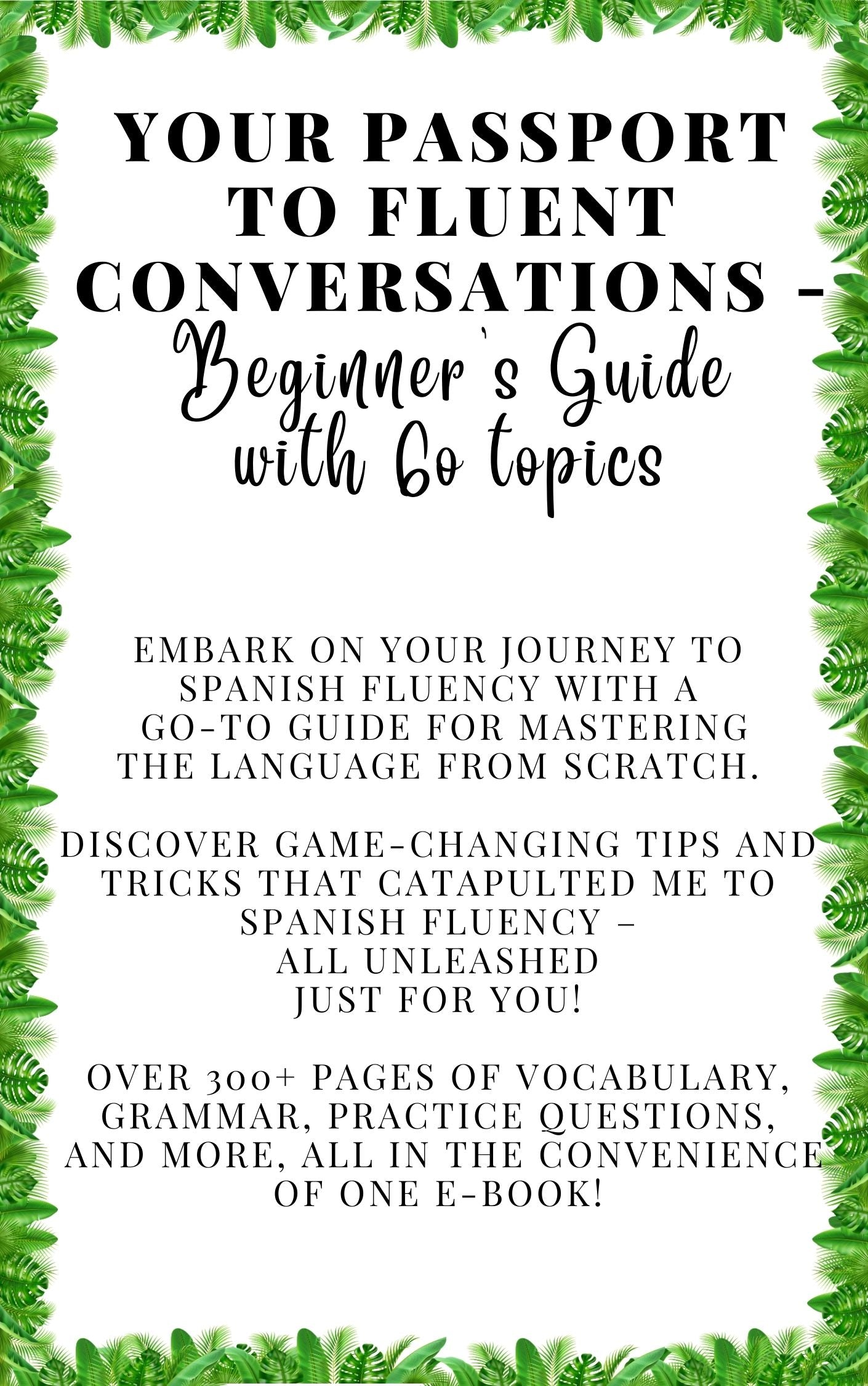 Beginner's Spanish Guide, eBook