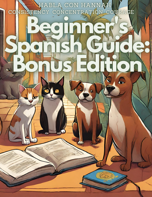 Beginner's Spanish Guide: Bonus Edition, eBook